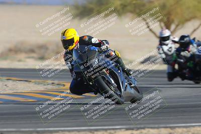 media/Feb-04-2023-SoCal Trackdays (Sat) [[8a776bf2c3]]/Turn 4 (Tree of Life 2pm)/